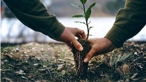 وزارة الزراعة بصدد الإعلان عن التعاون