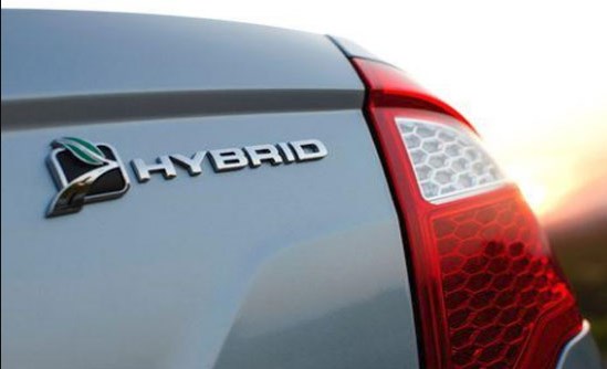 البستنجي: السوق المحلي خال من أي