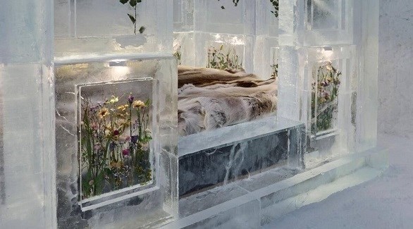 جناح جديد مليء بالجليد والأزهار في