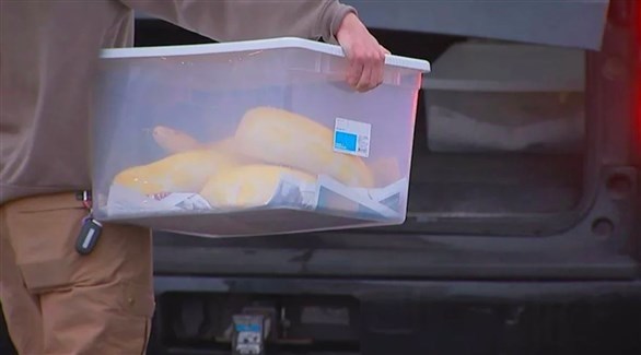 العثور على رجل ميت مع أكثر