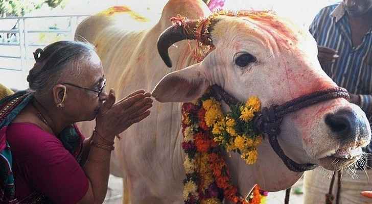 الهند: حشد يطعن فتى مسلما حتى