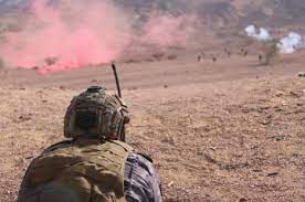 الجيش يحبط محاولة تسلل وتهريب مخدرات