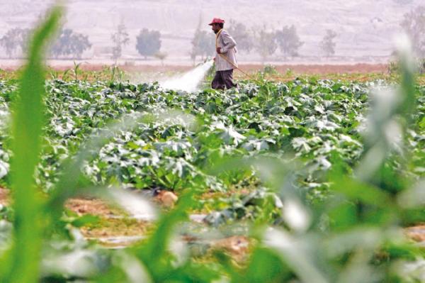 دعوة إلى عدم حرق متبقيات المزارع