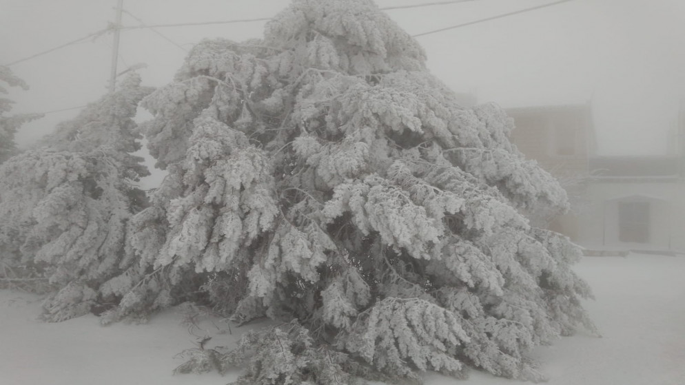 الشواربة يتحدث عن تعطل المركبات وتساقط