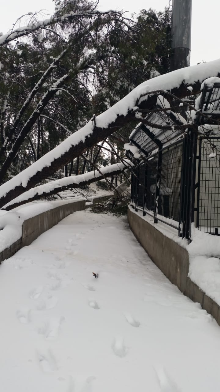 الخلايلة: هذه خسائر مدير مدينة الحسين