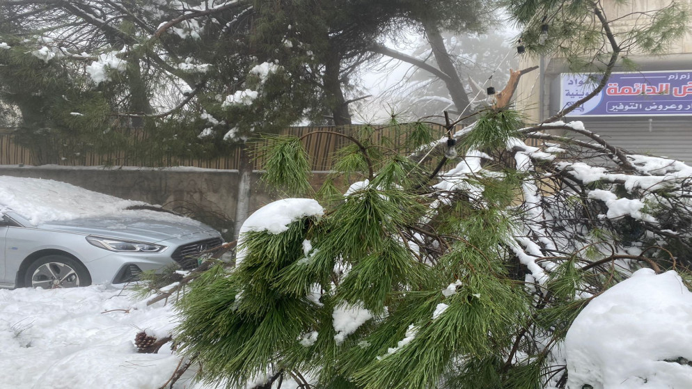 وزارة الزراعة تلقت أكثر من 412