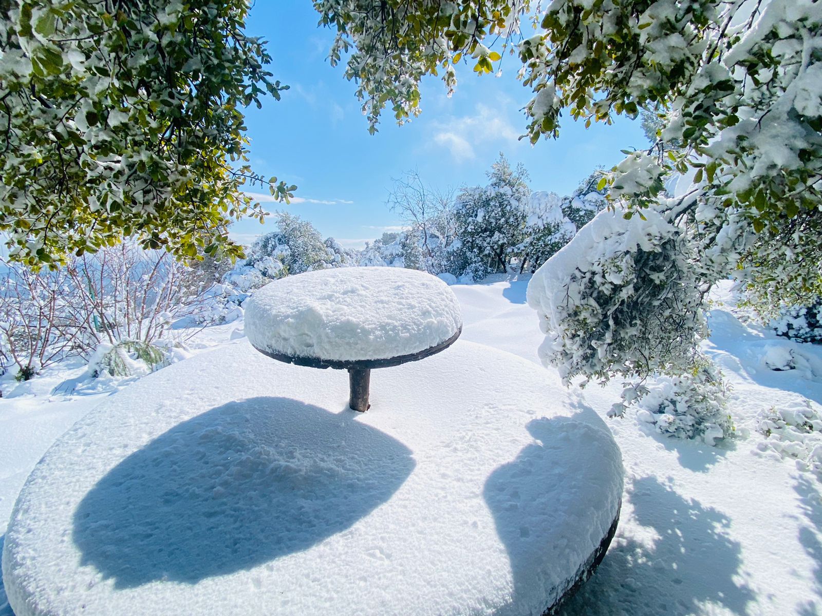 قرار حكومي سبق الثلوج وتقديرات الأرصاد