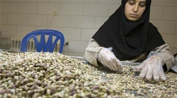 الفستق مقابل المحركات.. . شراكة صناعية