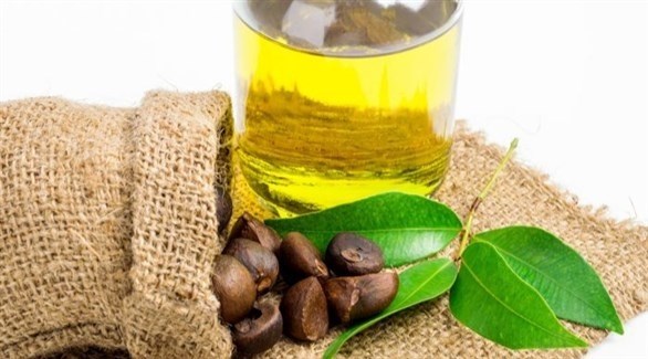 زيت الكاميليا.. لجمال البشرة والشعر