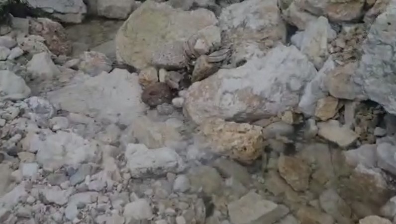 الوادي الأزرق في مدينة الفحيص (فيديو)