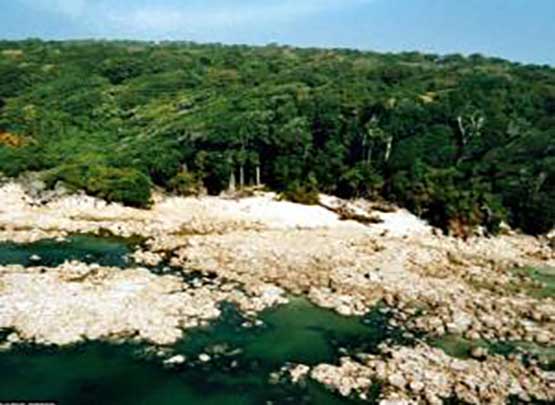 تقتل كلّ من يحاول الاقتراب منها..