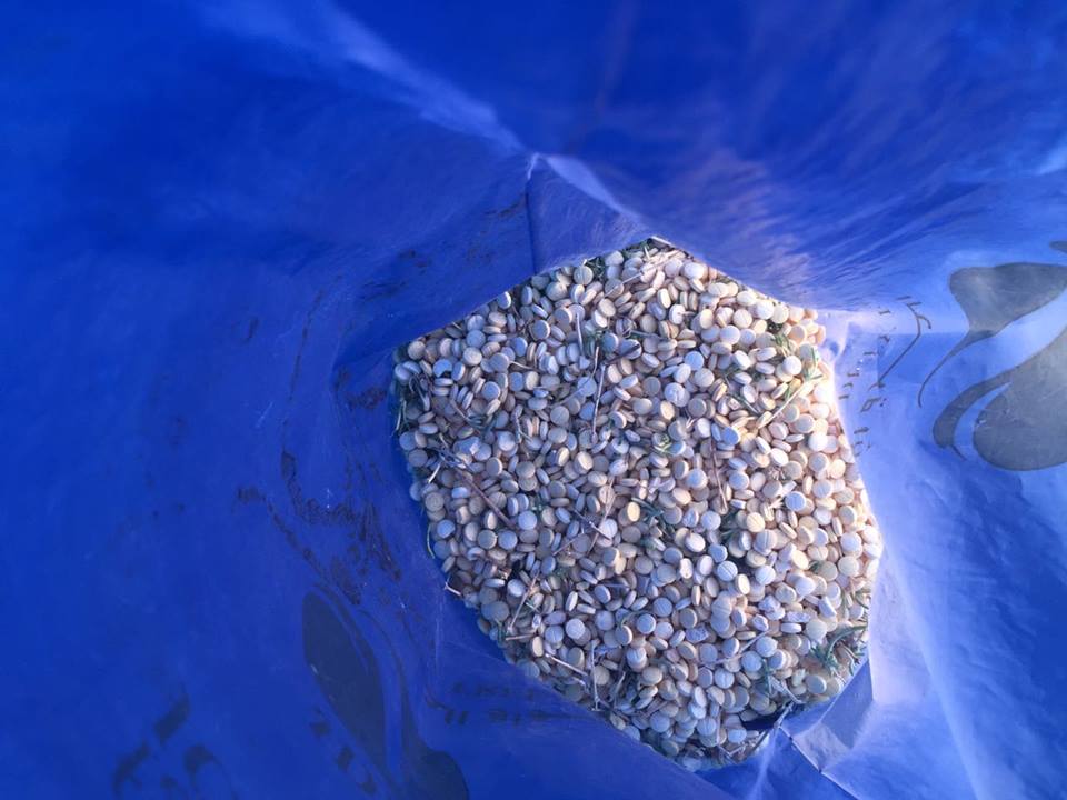 الجمارك تحبط تهريب 100 ألف حبة