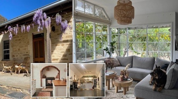 سائحان في منزلهما .. زوجان يحولان