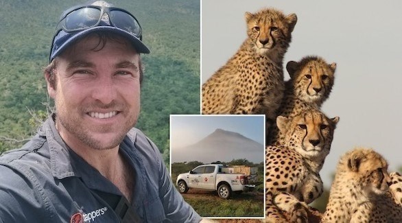 هكذا يسيح في عالم الحيوان..