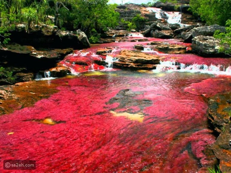 أغرب أنهار العالم.. كل ما تريد