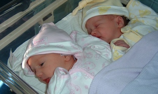 موت في غزة .. السلطة توقف