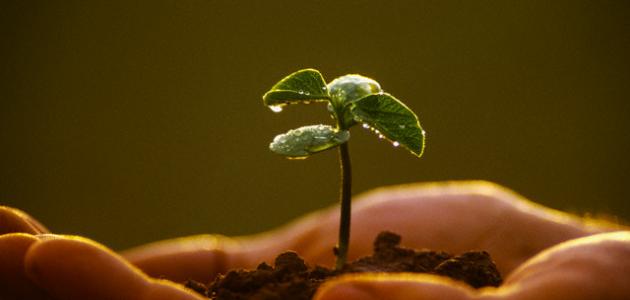 كيف تروض نفسك على العمل الصالح؟