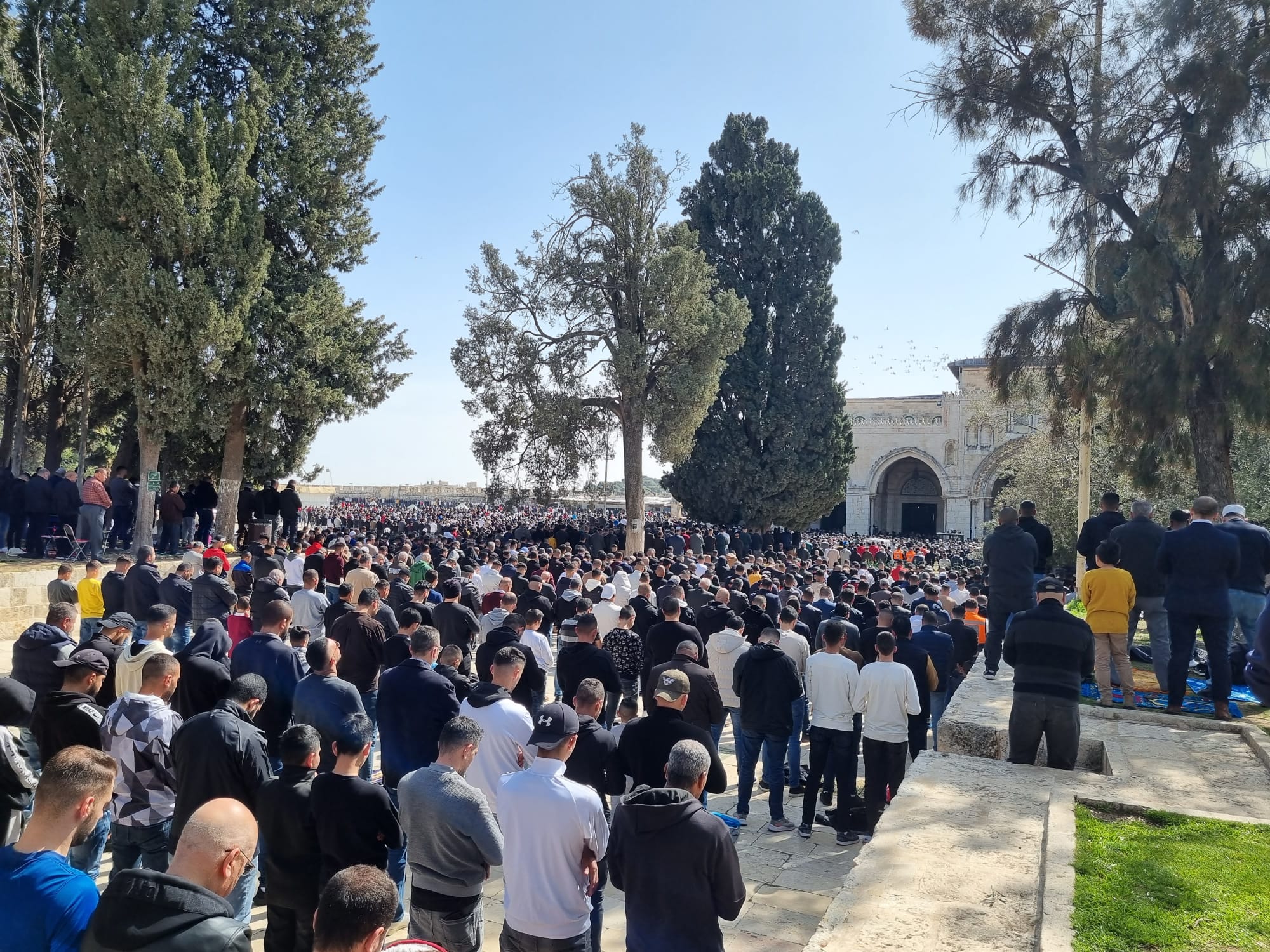 65 ألفا يؤدون صلاة الجمعة في