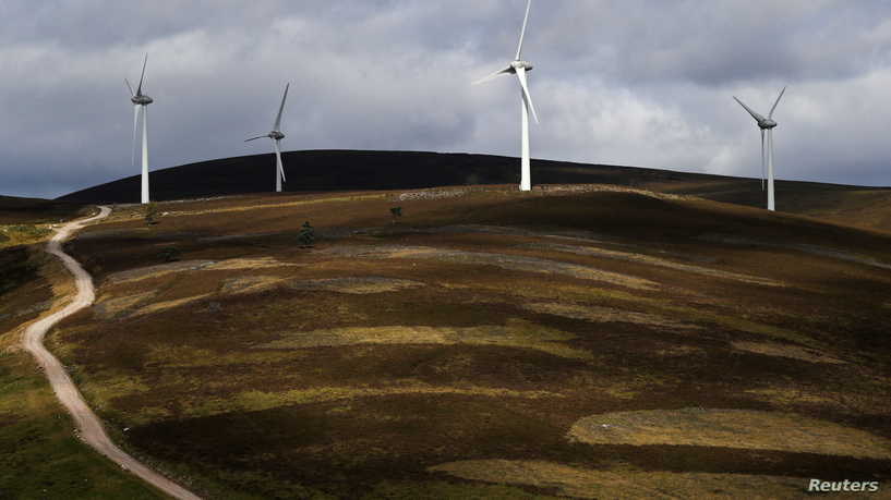 نسبة مذهلة.. رياح عاصفة تولد 42