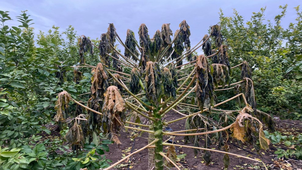 رفع نتائج عمل لجان حصر مخاطر