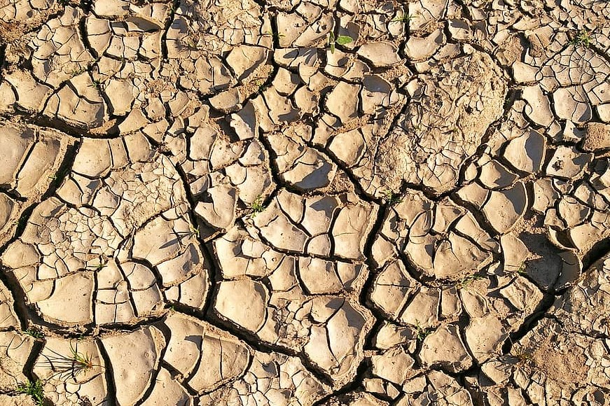 واقع مؤلم.. أطاح بالمزارع حتى لاحقه