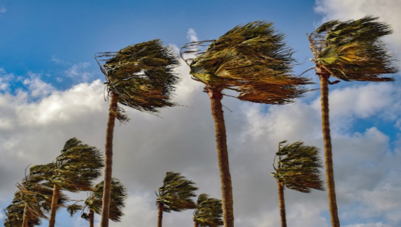 الحالة الجوية خلال الساعات القادمة.. رياح