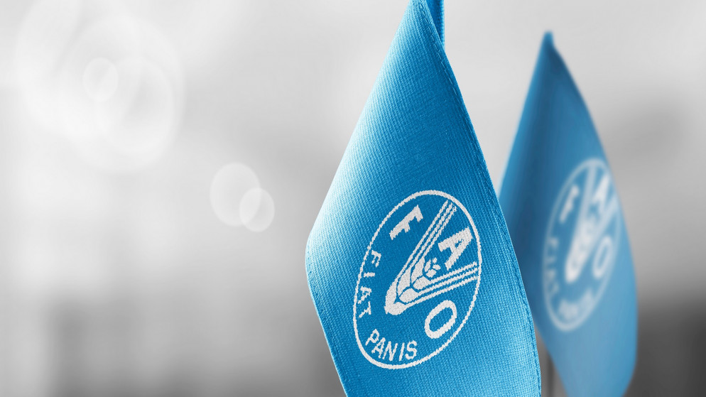 أسعار السلع الغذائية بلغت مستوى قياسيا