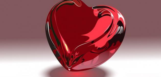 6 أنواع للحب أقرها الإسلام.. لكن