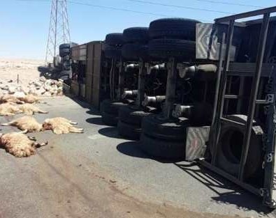 على طريق النقب القديم