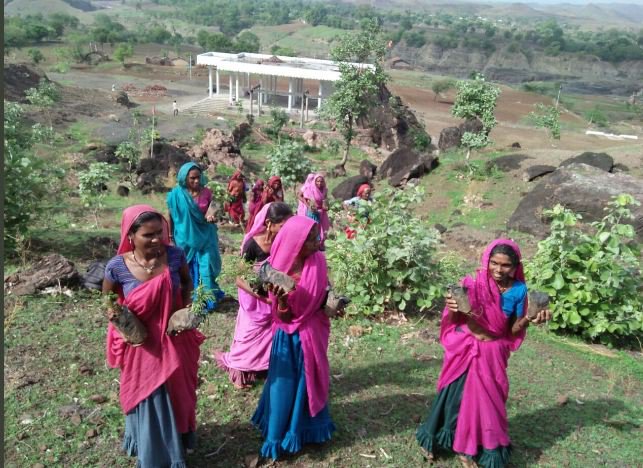 بالصور .. الهند تزرع 1638 1638