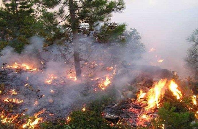 إخماد حريق بمساحة دونمين في عجلون