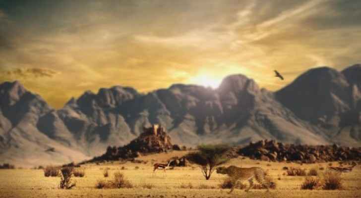 دراسة: موجة الانقراض السادسة بدأت على