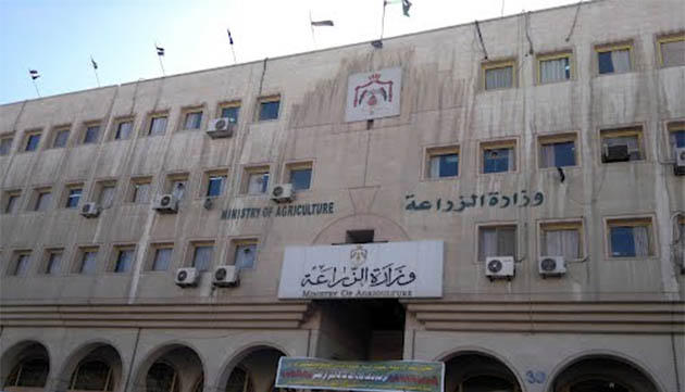 وفد إماراتي يطلع على إجراءات وزارة