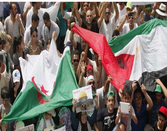 جزائريون غاضبون من السفير السعودي بعد