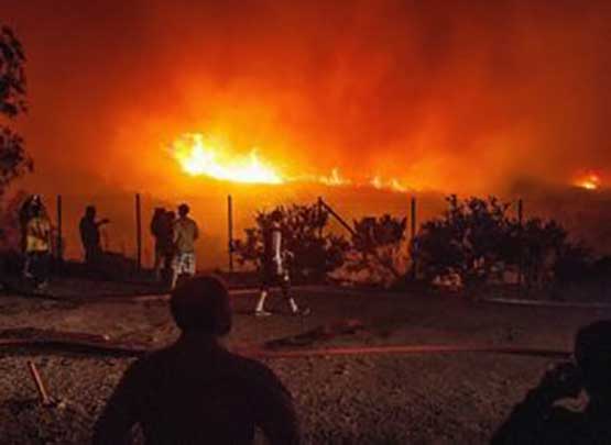 الحرائق تلتهم غابات الجزائر.. النار تقضي