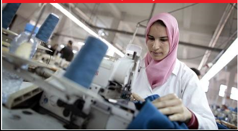 هل تنجح الإجراءات الحكومية في زيادة