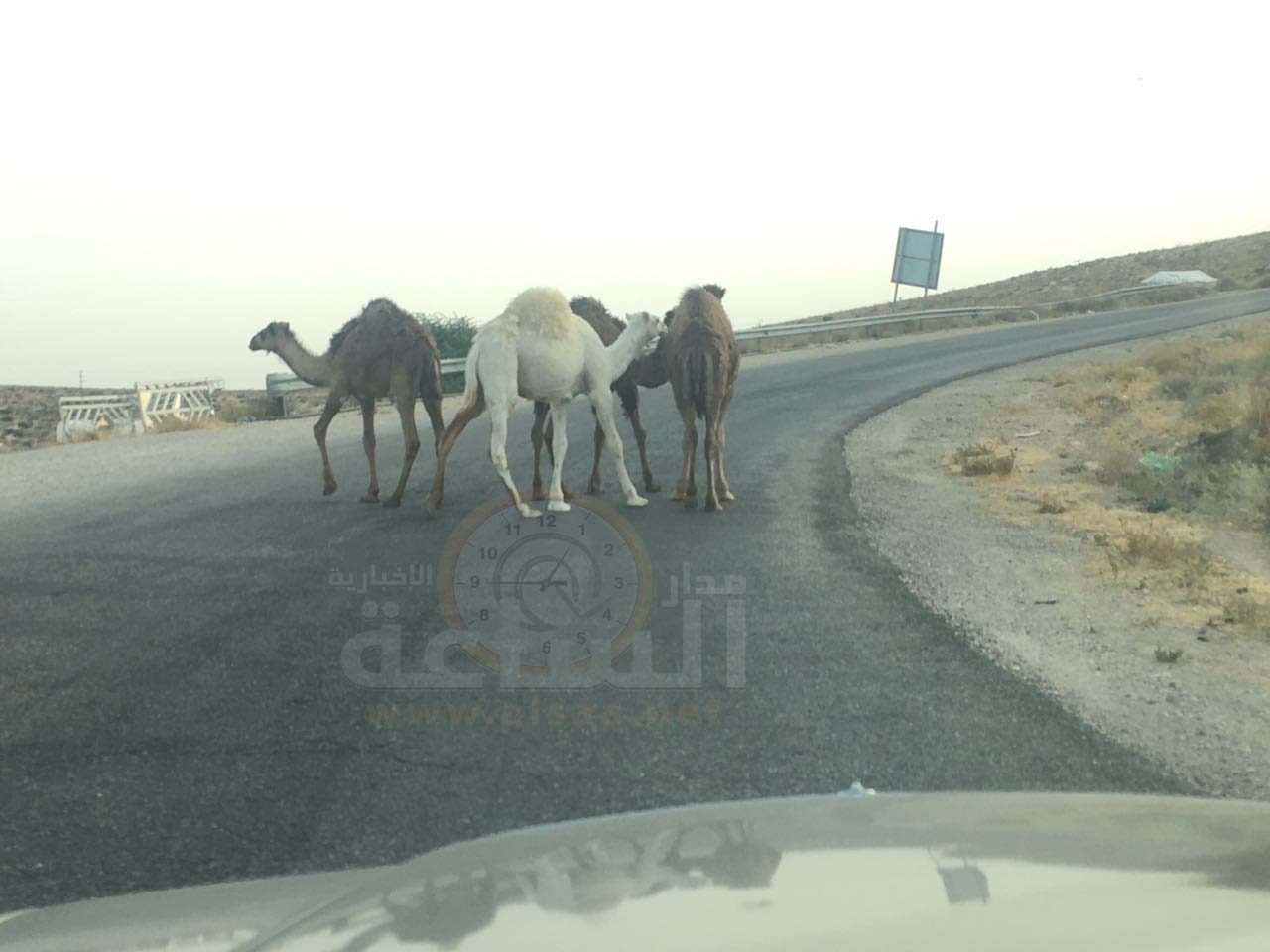 4 وفيات و33 إصابة بحوادث سببتها