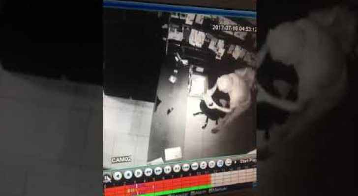 بالفيديو .. لص يسطو على محل