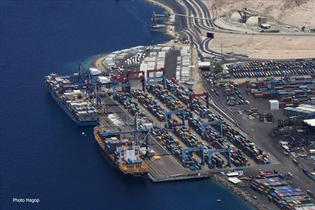 فيروس «الفدية» يوقف التعاملات الرقمية في