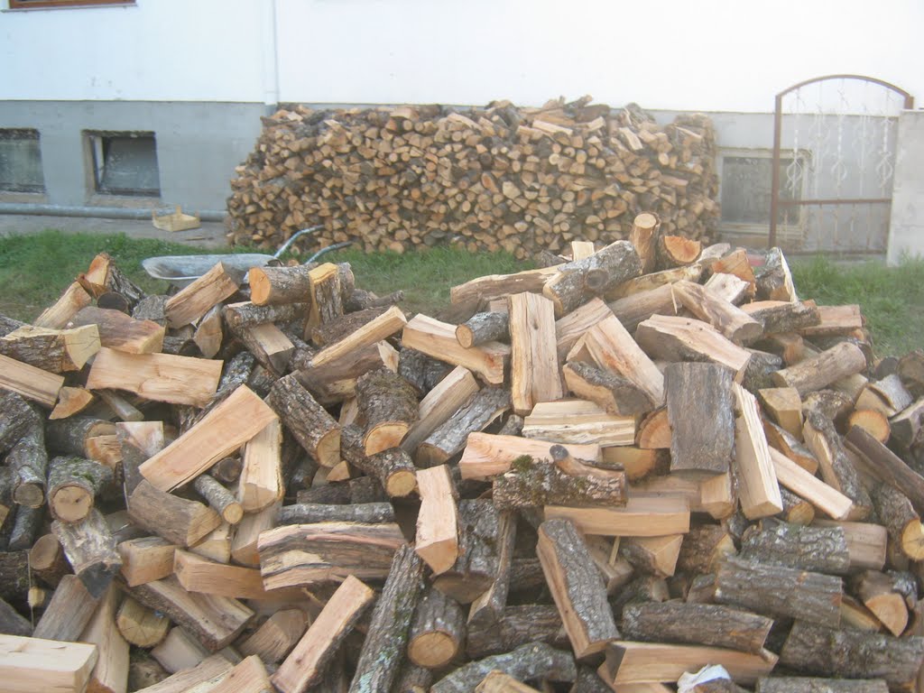 إعفاء الحطب المستورد للتدفئة من الرسوم