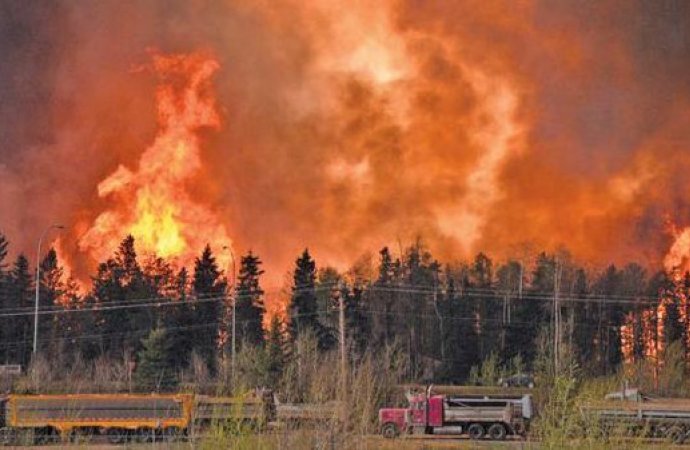 الحرائق تجتاح العالم بسبب ارتفاع درجات