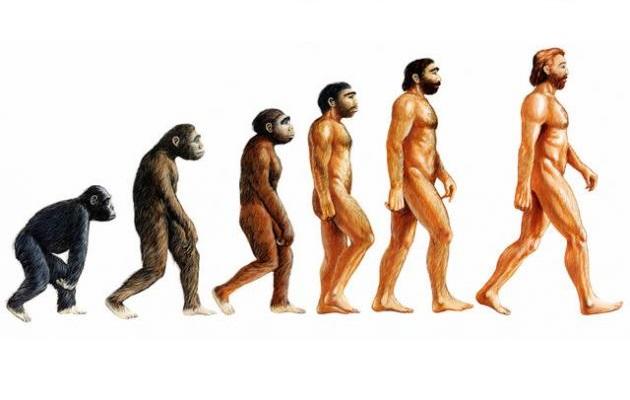 تركيا تحذف نظرية داروين من المناهج