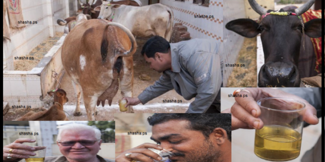 فيديو سيصدمكم .. لهذا السبب يدمنون