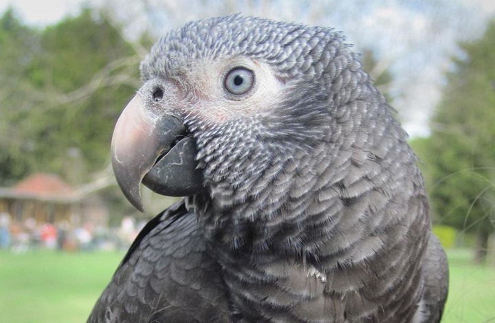 إدانة أمريكية بجريمة قتل بعد تكرار