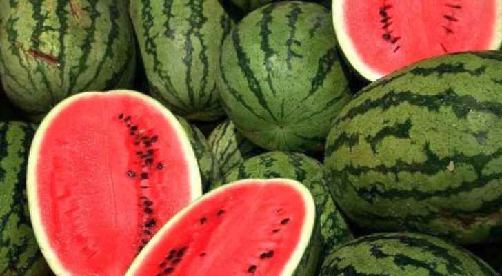 كيلو البطيخ 1635 1632 قرشا