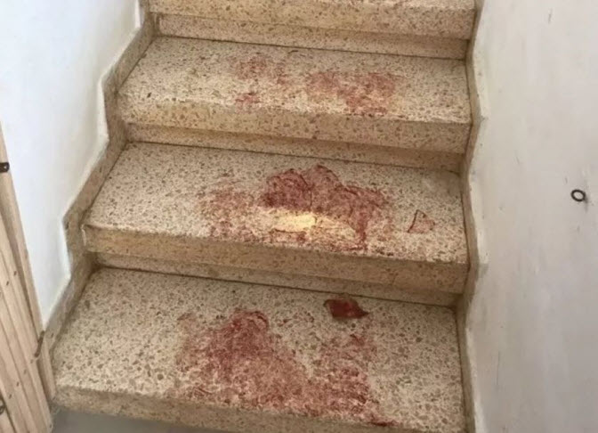 تفاصيل مثيرة عن عملية «حلميش»