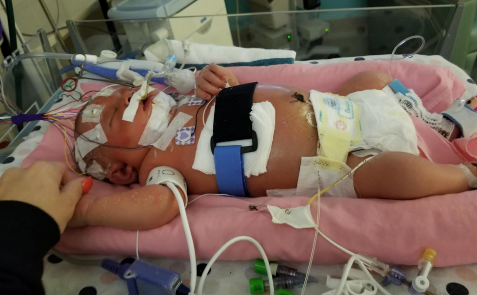 خطورة تقبيل الناس للمواليد الجدد