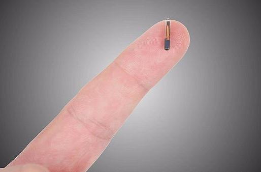 أغرب طريقة لتطوير الموظفين