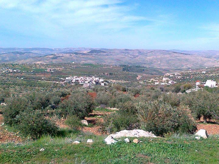 الزيود يكتب: جبل القرين؛ حيث ينام