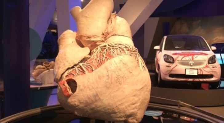 بالفيديو.. عرض أكبر قلب على وجه